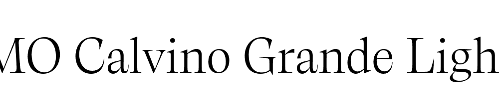 FSP DEMO Calvino Grande Light Regular