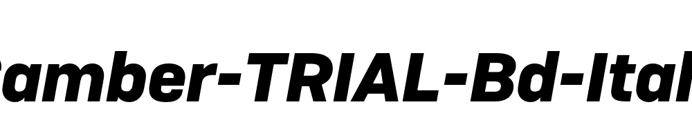 Camber-TRIAL-Bd-Italic