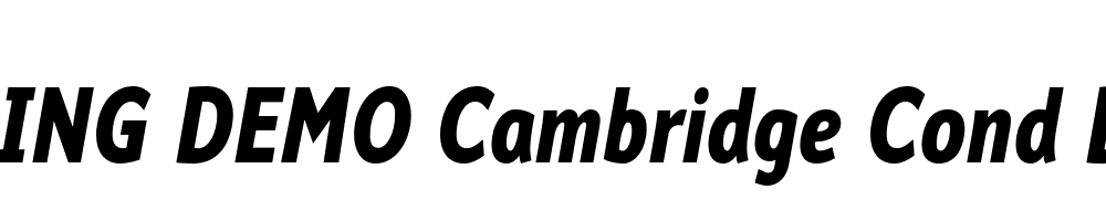  DEMO Cambridge Cond Bold Italic