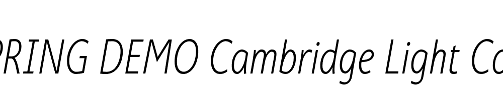  DEMO Cambridge Light Cond Italic