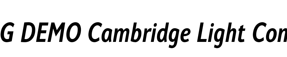  DEMO Cambridge Light Cond Bold Italic