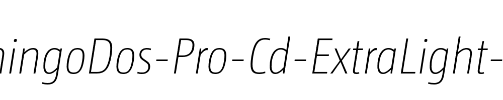 CamingoDos-Pro-Cd-ExtraLight-Italic