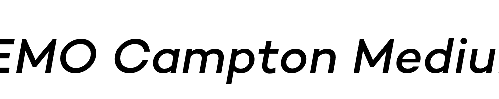 FSP DEMO Campton Medium Italic