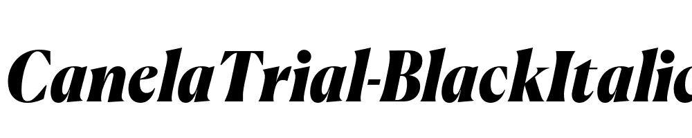 CanelaTrial-BlackItalic