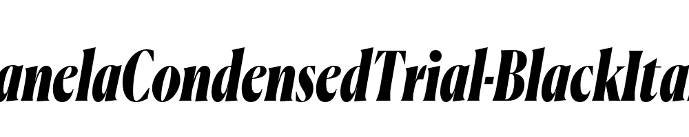 CanelaCondensedTrial-BlackItalic