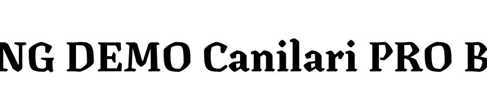  DEMO Canilari PRO Bold Regular