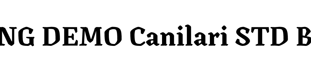  DEMO Canilari STD Bold Regular