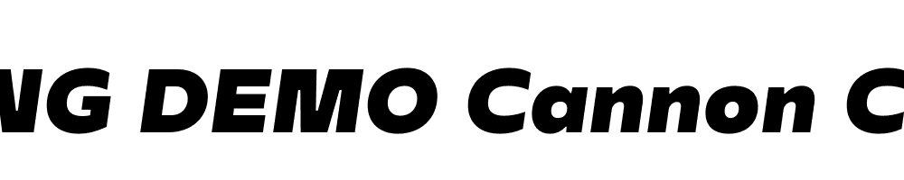  DEMO Cannon Cannon Italic