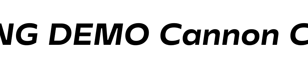  DEMO Cannon Cannon Italic