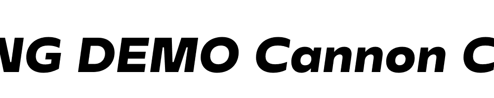  DEMO Cannon Cannon Italic