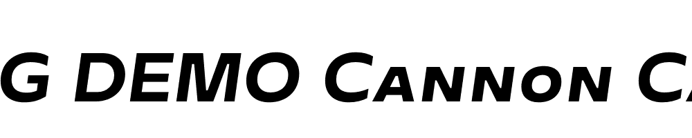  DEMO Cannon Cannon Italic