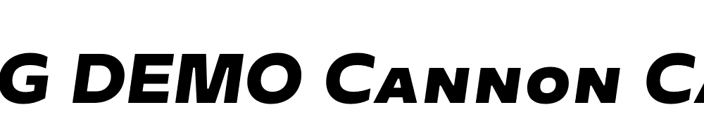  DEMO Cannon Cannon Italic