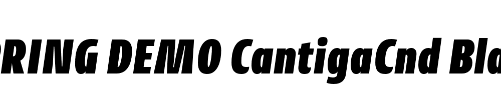  DEMO CantigaCnd Black Italic