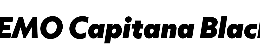 FSP DEMO Capitana Black Italic