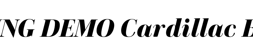  DEMO Cardillac Black Italic