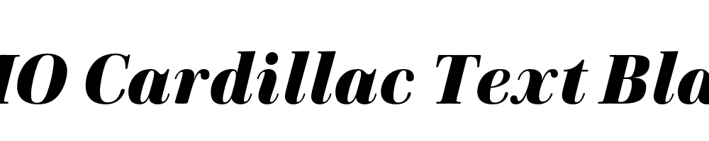 FSP DEMO Cardillac Text Black Italic