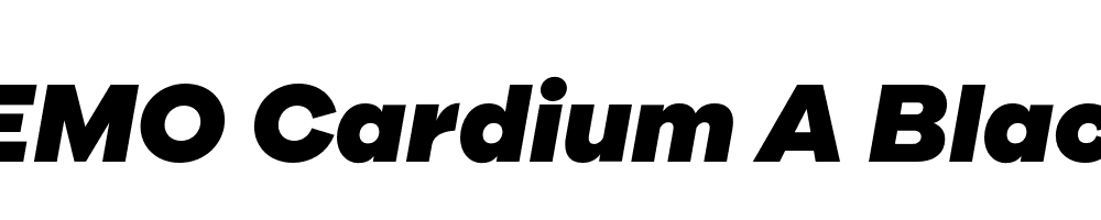 FSP DEMO Cardium A Black Italic