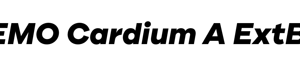 FSP DEMO Cardium A ExtBd Italic