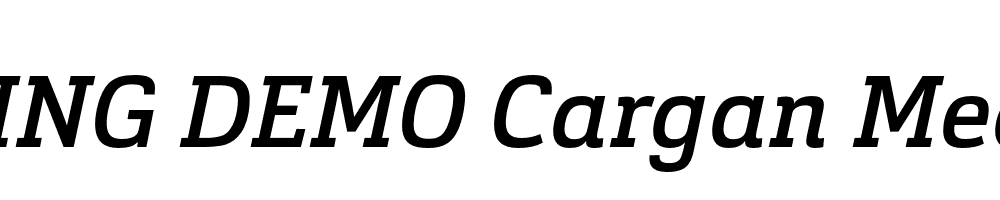  DEMO Cargan Medium Italic