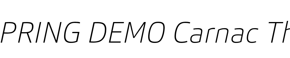  DEMO Carnac Thin Italic