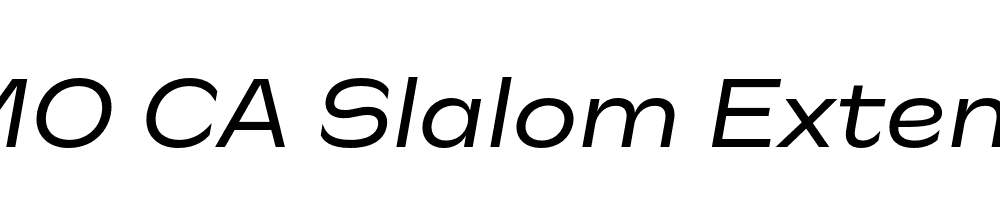 FSP DEMO CA Slalom Extended Italic