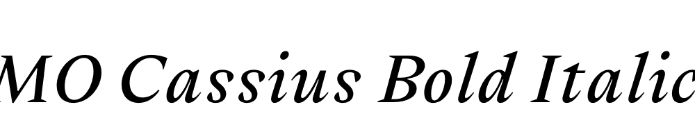 FSP DEMO Cassius Bold Italic Regular