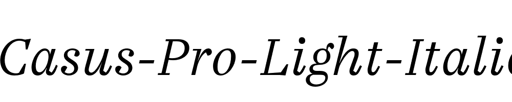 Casus-Pro-Light-Italic