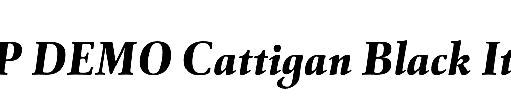 FSP DEMO Cattigan Black Italic