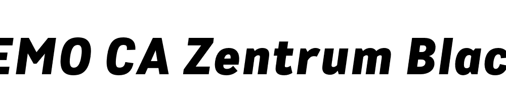 FSP DEMO CA Zentrum Black Italic