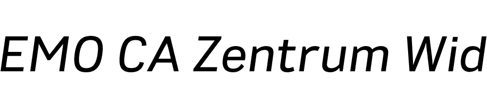 FSP DEMO CA Zentrum Wide Italic