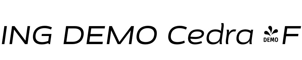  DEMO Cedra 4F Wide Italic