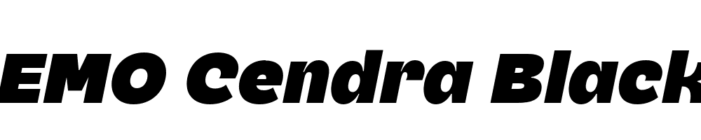 FSP DEMO Cendra Black Italic