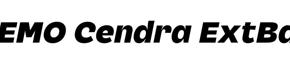 FSP DEMO Cendra ExtBd Italic