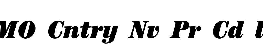 FSP DEMO Cntry Nv Pr Cd ltr Italic