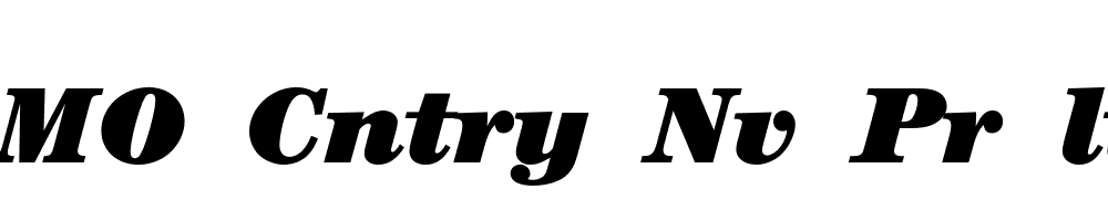 FSP DEMO Cntry Nv Pr ltr Italic