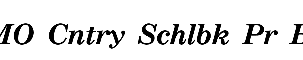 FSP DEMO Cntry Schlbk Pr Bold Italic