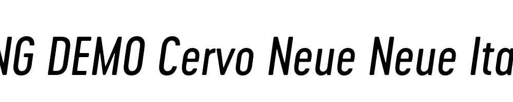  DEMO Cervo Neue Neue Italic Regular