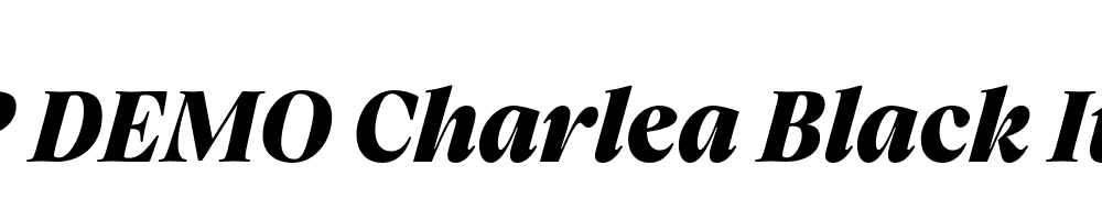 FSP DEMO Charlea Black Italic