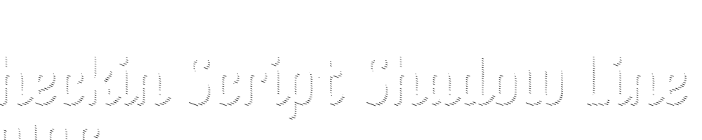  DEMO Checkin Script Shadow Line Regular