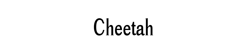 Cheetah