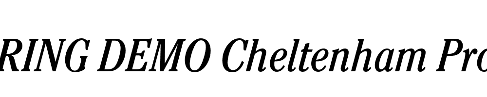  DEMO Cheltenham Pro Cd Italic