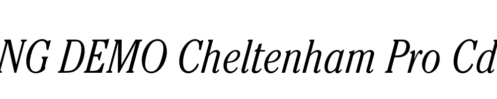  DEMO Cheltenham Pro Cd Light Italic