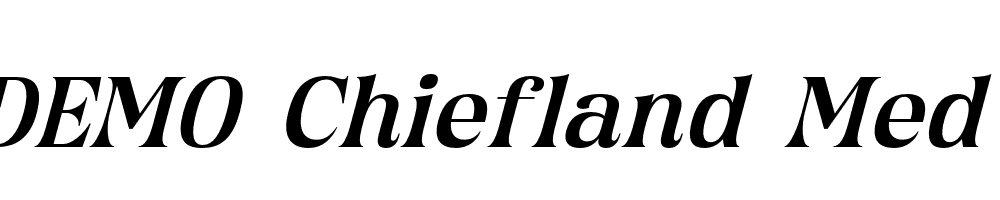 FSP DEMO Chiefland Med Italic