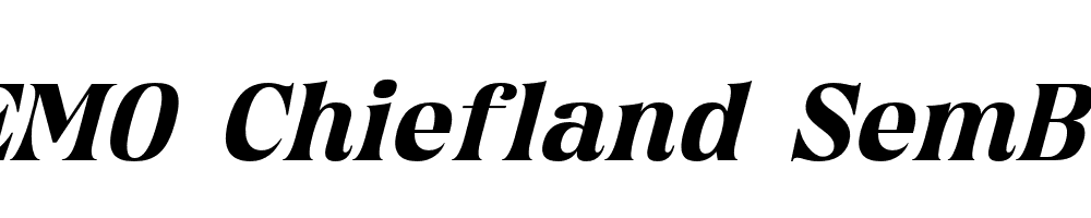 FSP DEMO Chiefland SemBd Italic