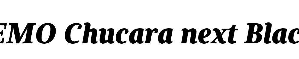 FSP DEMO Chucara next Black Italic