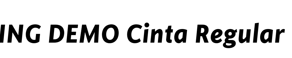  DEMO Cinta Regular Bold Italic