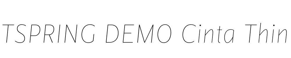  DEMO Cinta Thin Italic