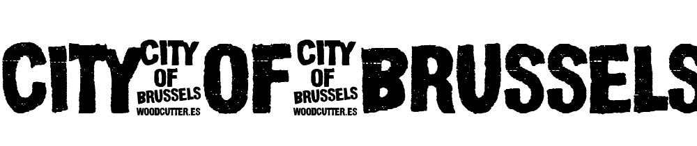 City_of_brussels