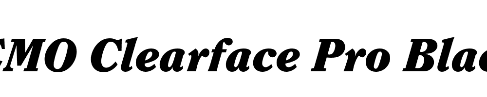 FSP DEMO Clearface Pro Black Italic