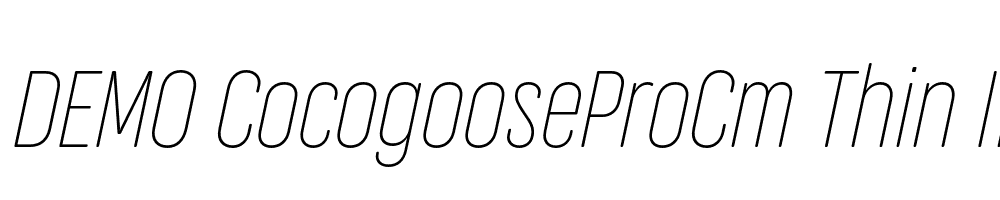 FSP DEMO CocogooseProCm Thin Italic